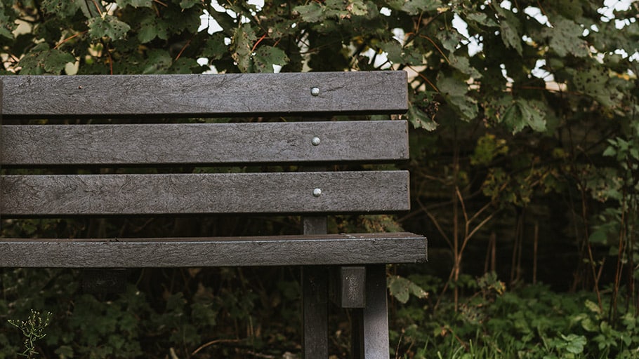 A recycled plastic bench with a dark finish installed in front of some bushes