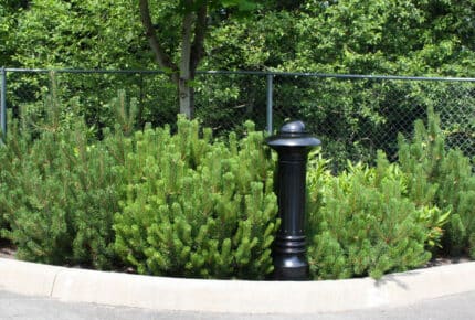 R-7598 decorative bollard near bushes