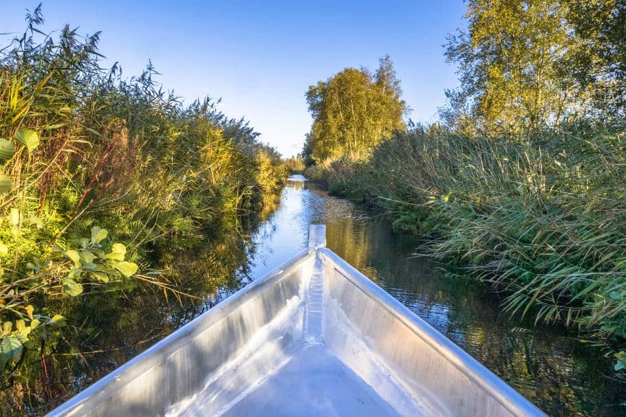 A shining aluminum prow of a fishing boat cuts through a channel in a bayou