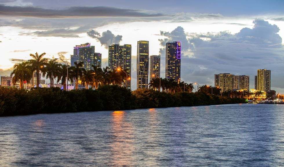 An image of the Miami skyline from the water, with palm trees in the foreground and towers behind, at sunset